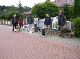 CIMG3803-Bericht der Eulen-Wanderung am 24.07.2011 am Steinhuder Meer-2011-08-31