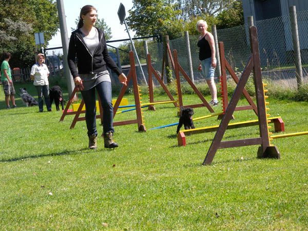 2011 08 20_7204