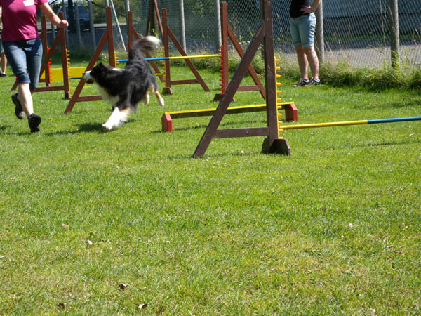 2011 08 20_7208