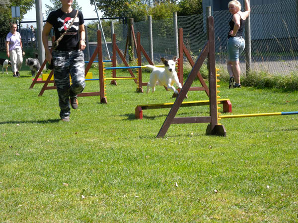 2011 08 20_7210