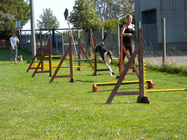 2011 08 20_7212