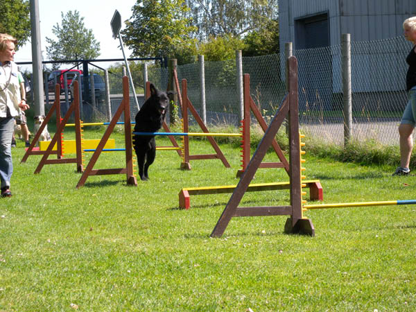 2011 08 20_7215