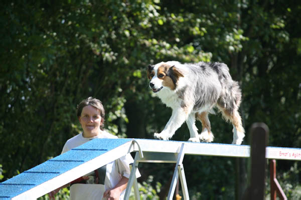 2011-08-20 Agility-Trainings-Turnier 007
