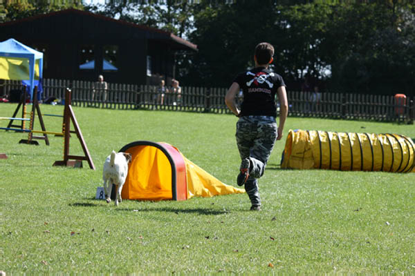 2011-08-20 Agility-Trainings-Turnier 008
