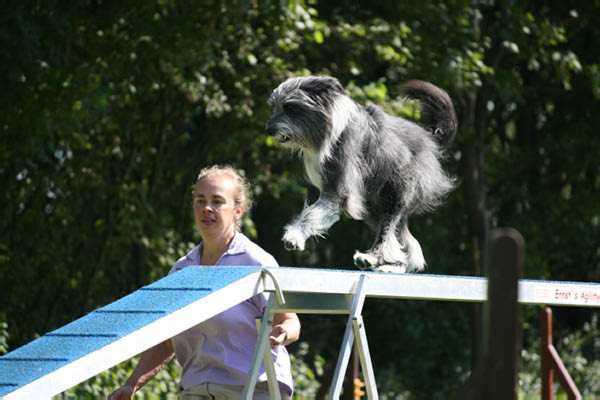 2011-08-20 Agility-Trainings-Turnier 011
