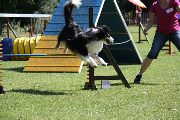 2011-08-20 Agility-Trainings-Turnier 018