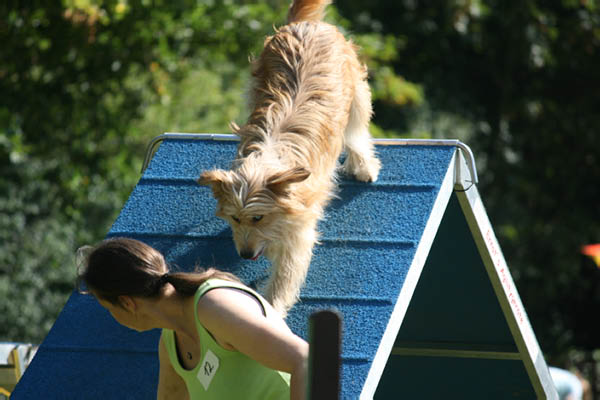 2011-08-20 Agility-Trainings-Turnier 024