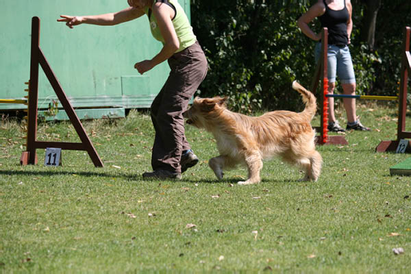 2011-08-20 Agility-Trainings-Turnier 026