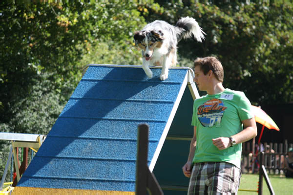 2011-08-20 Agility-Trainings-Turnier 029