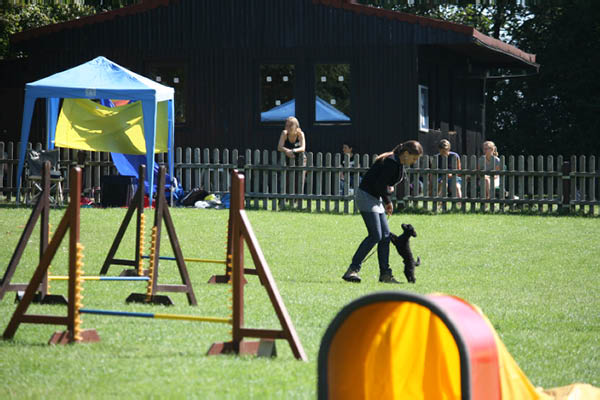 2011-08-20 Agility-Trainings-Turnier 052