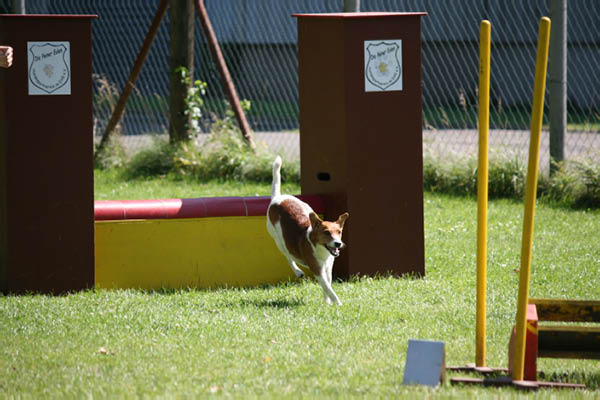 2011-08-20 Agility-Trainings-Turnier 080