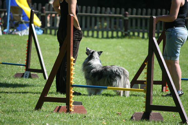 2011-08-20 Agility-Trainings-Turnier 085