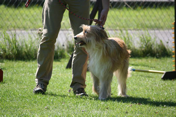 2011-08-20 Agility-Trainings-Turnier 120