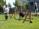 2011 08 20_7205