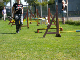2011 08 20_7210
