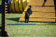 2011-08-20 Agility-Trainings-Turnier 054