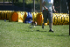2011-08-20 Agility-Trainings-Turnier 079