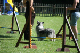 2011-08-20 Agility-Trainings-Turnier 085
