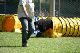 2011-08-20 Agility-Trainings-Turnier 092
