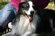 2011-08-20 Agility-Trainings-Turnier 111
