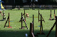 2011-08-20 Agility-Trainings-Turnier 115