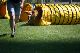 2011-08-20 Agility-Trainings-Turnier 117