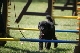 2011-08-20 Agility-Trainings-Turnier 122