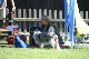 2011-08-20 Agility-Trainings-Turnier 140