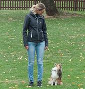 Ein Bild, das Gras, Hund, draußen, Zaun enthält.
Automatisch generierte Beschreibung