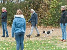 Ein Bild, das Baum, Person, draußen, Gras enthält.
Automatisch generierte Beschreibung