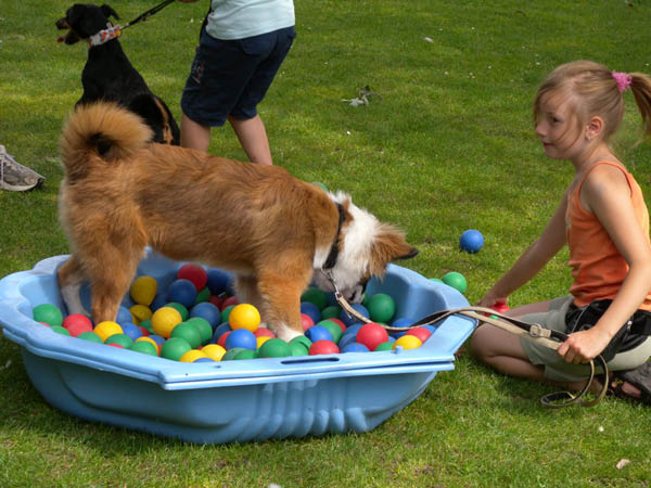 2011 07 20_7058