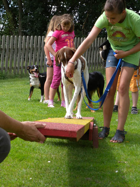 2011 07 20_7067