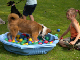 2011 07 20_7058