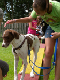 2011 07 20_7069