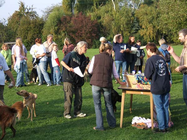 Flyball Gisen 023 (21)