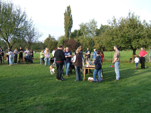 Flyball Gisen 023 (23)