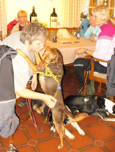 Hundewanderung_2010_14