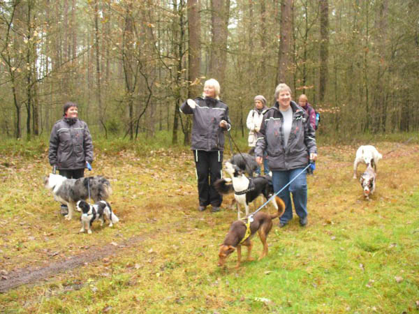 Hundewanderung_2010_24