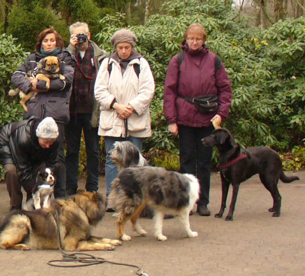 Hundewanderung_2010_28