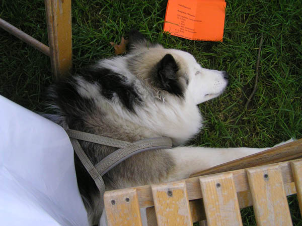 P9150303