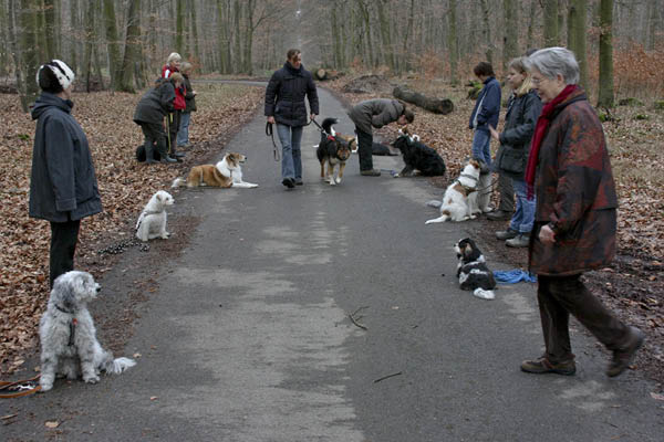 Hundespaziergang Jan. 2008 037