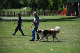 DSC_0194