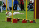 Jack Russel Weitsprung