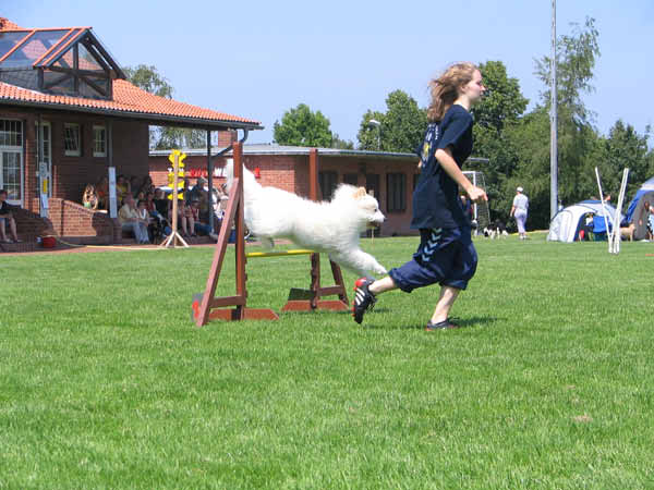 IMG_5546
