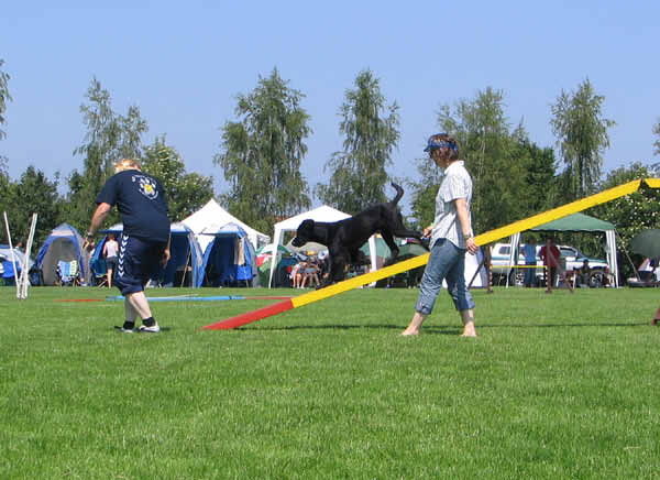 IMG_5547_bearbeitet