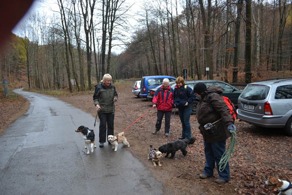 Wanderung Peiner Eulen im Harz_19.11.11 004