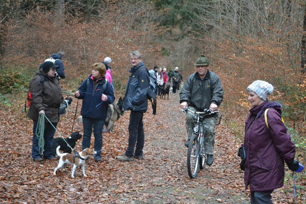 Wanderung Peiner Eulen im Harz_19.11.11 014