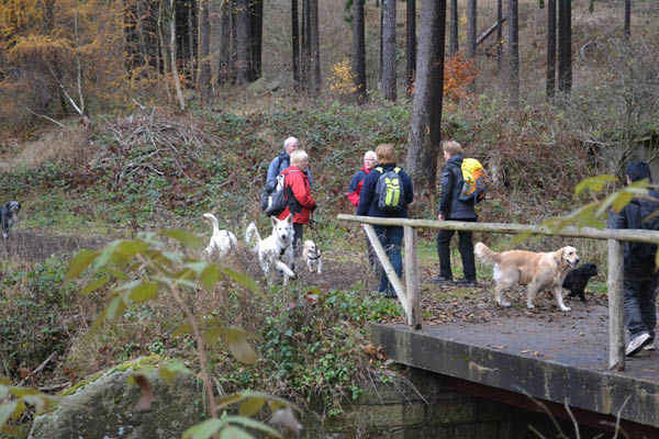 Wanderung Peiner Eulen im Harz_19.11.11 016