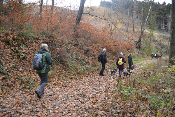 Wanderung Peiner Eulen im Harz_19.11.11 018