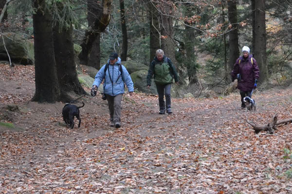 Wanderung Peiner Eulen im Harz_19.11.11 028